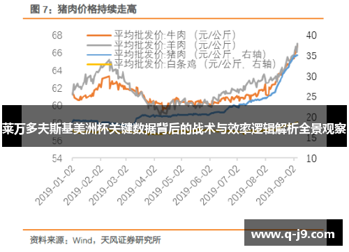 莱万多夫斯基美洲杯关键数据背后的战术与效率逻辑解析全景观察
